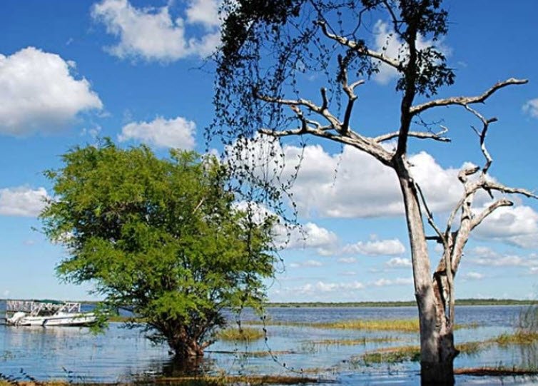 Crooked Tree Wildlife Sanctuary, Belize